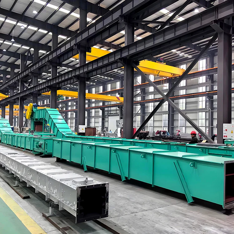 Chain Conveyor