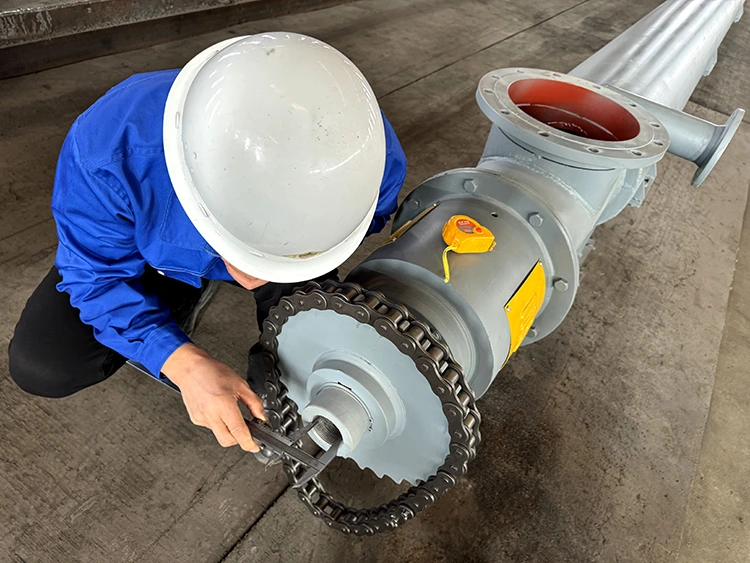 Auger Conveyor