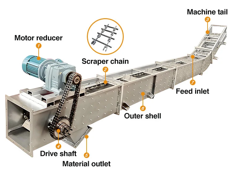 Chain Conveyors