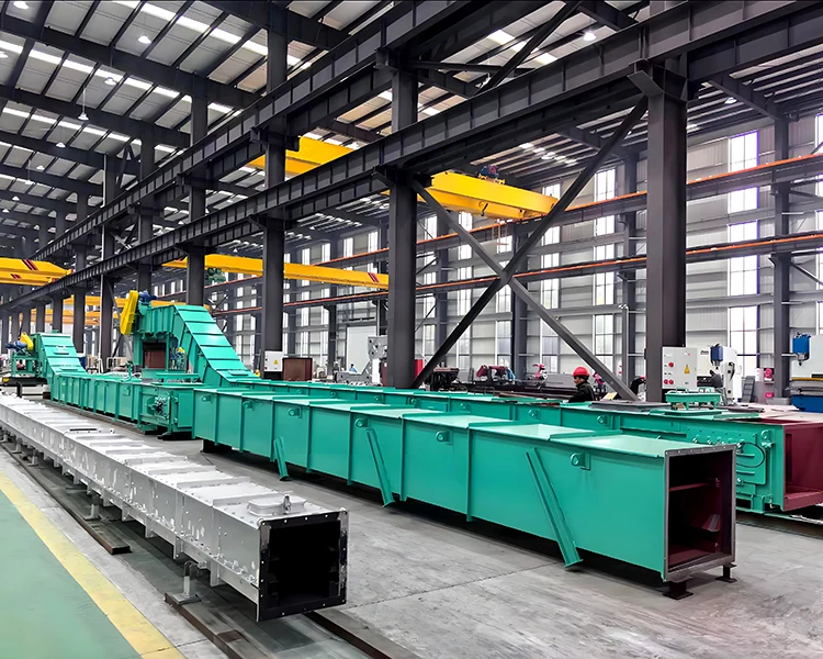 Chain Conveyors