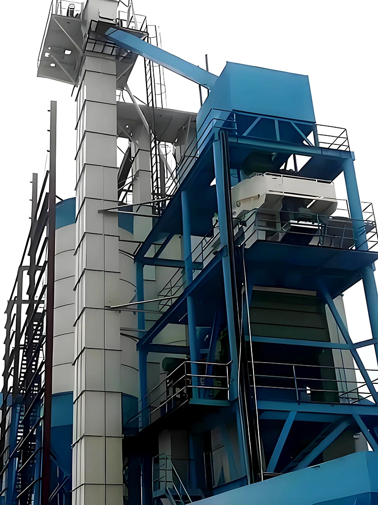 Ring Chain Bucket Elevator